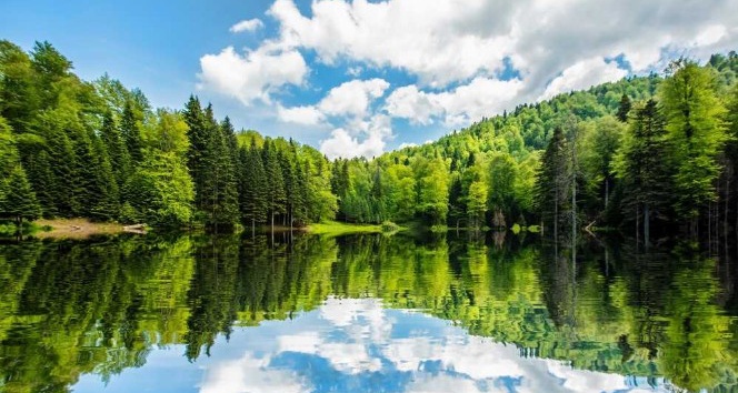 Torkul Yaylası muhteşem güzelliği ile havadan görüntülendi