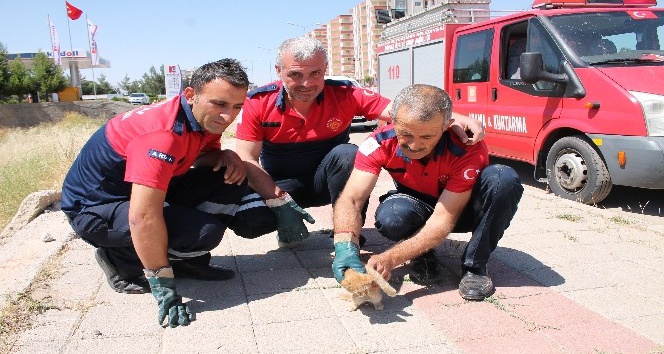 Boruya sıkışan kediyi itfaiye ekipleri kurtardı