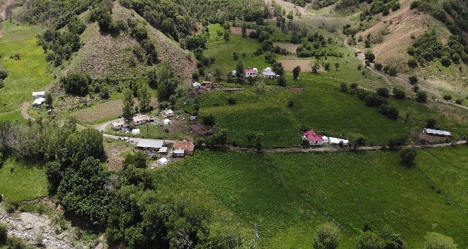 Bingöl’ün köylerinde çadırlar kuruldu, depremzedeler kalmaya başladı