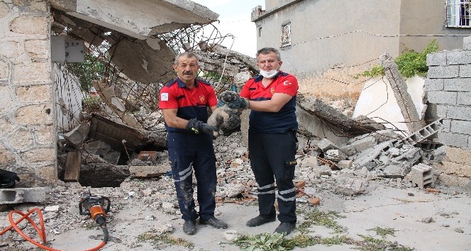 İtfaiye ekipleri enkaz altında kalan yavru köpeği kurtardı