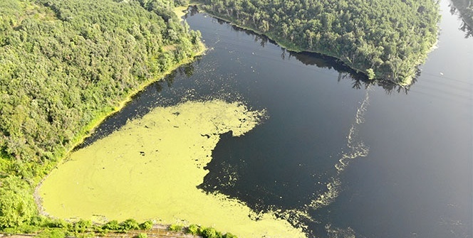 Elmalı barajında korkutan görüntü