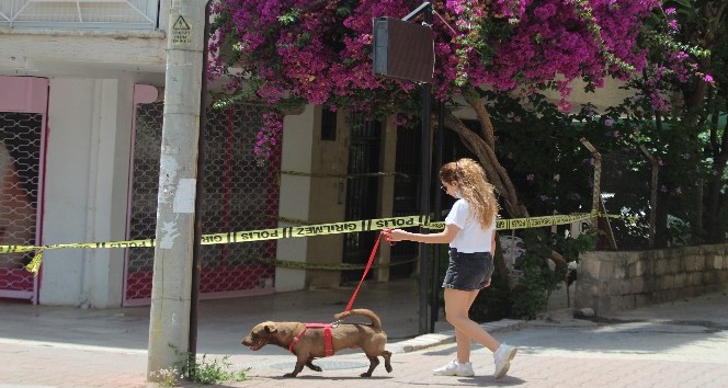 Antalya’da 10 dairenin bulunduğu bina karantinaya alındı