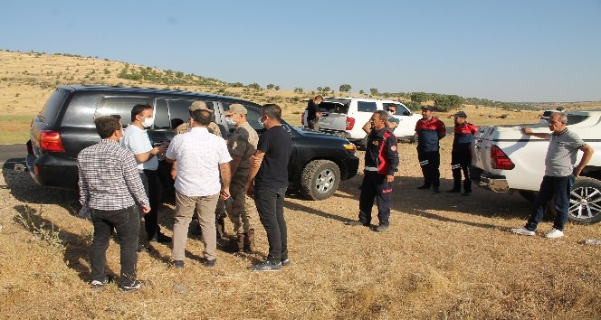 Midyat’ta orman yangını