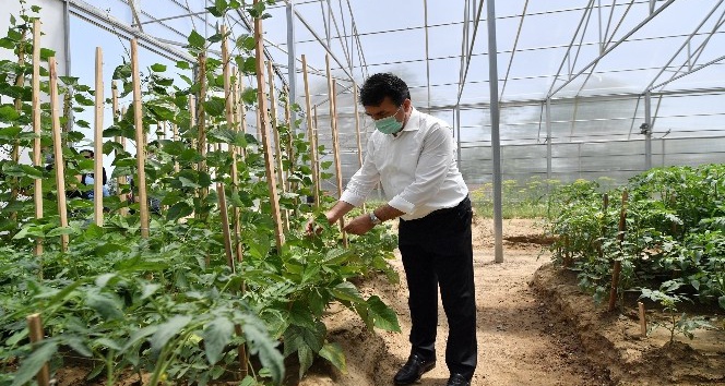 Osmangazi’den milli tarım hamlesi