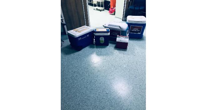 Trafik kazasında hayatını kaybetti, 5 kişiye umut oldu