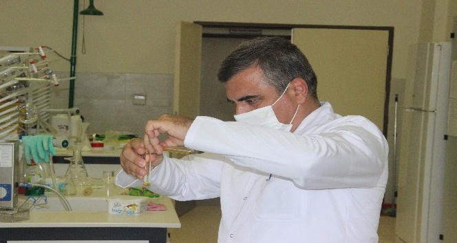 Türkiye’de ilk kez Kilis zeytinyağında Omega-7 yağ asidi bulundu