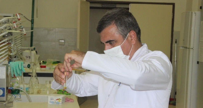 Türkiye'de ilk kez Kilis zeytinyağında Omega-7 yağ asidi bulundu