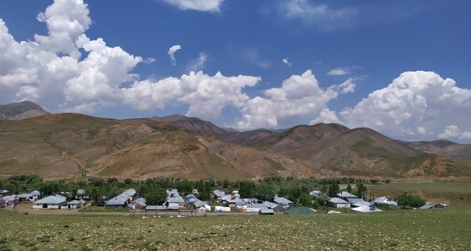 Bingöl’de bir köy karantinaya alındı