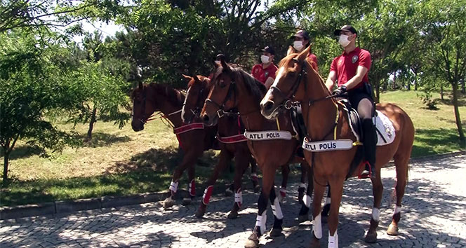 Sultangazi Kent Ormanı'nda atlı polisler görev başında