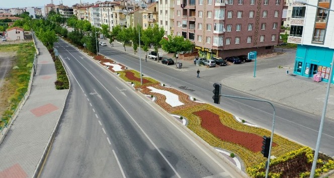 Nevşehir çiçek açıyor