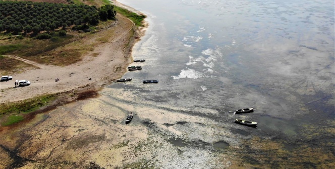 Bir zamanlar ‘kuş cennetiydi, şimdi kuraklık tehlikesi ile karşı karşıya