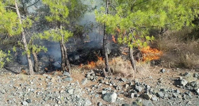 Hatay’da çıkan orman yangınında 2 hektarlık alan zarar gördü