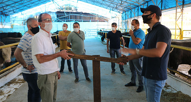 Kurban pazarında sosyal mesafeli pazarlık