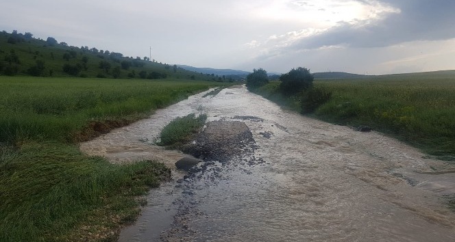 Kastamonu’da 15 gündür yağan dolu ve yağmur, tarım arazilerini vurdu