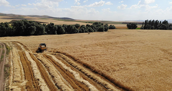 Türkiye&#039;de ilk kez Kırıkkale&#039;de uygulamaya konuldu: Çiftçilere özel MOBEK projesi
