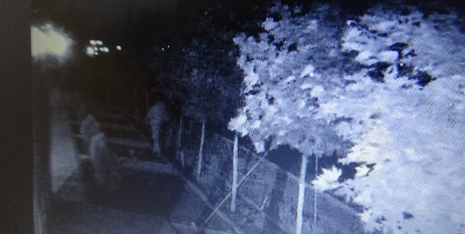 Diyarbakır'da bir garip hırsızlık!