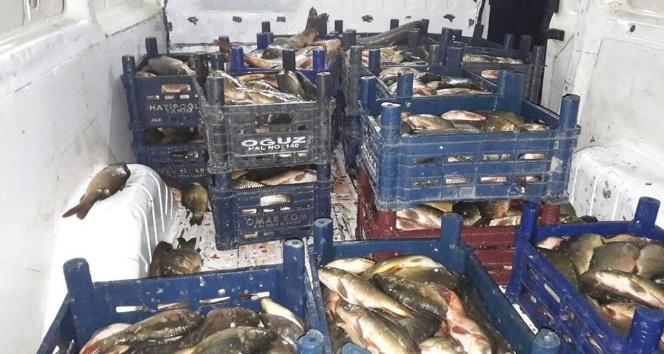 Elazığ’da kaçak balık avına 10 bin TL ceza kesildi