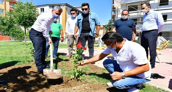Başkan Çınar, Gül Parkında fideleri toprakla buluşturdu