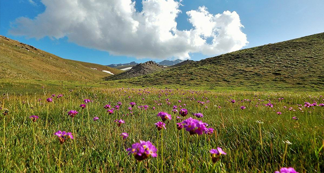 Dört mevsimin yaşandığı Geyik Dağı’ndan kartpostallık görüntüler
