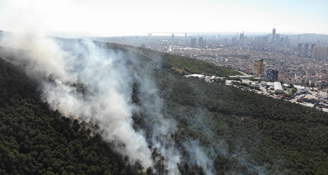 Kayışdağı Ormanı’nda çıkan yangın havadan görüntülendi