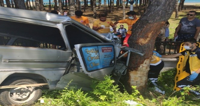 Samsun’da kamyonet ağaca çarptı: 2 yaralı