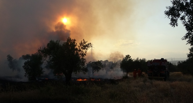 Zeytinpark&#039;ta korkutan yangın