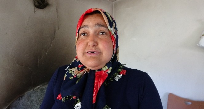 Sarı kız örümceği akrebin düşmanı