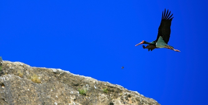 9 milyon yıllık kanyonun sahipleri geldi