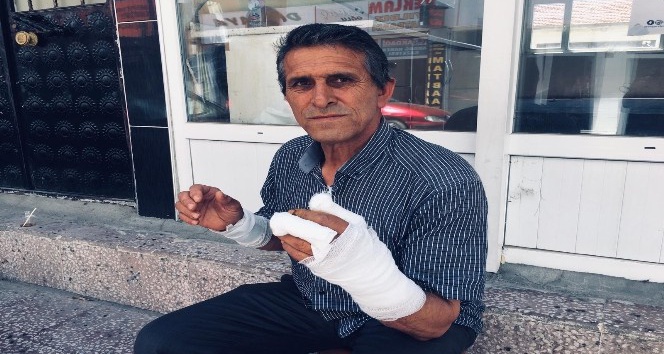 Yozgat’ta ayının saldırısına uğrayan adam yaralandı