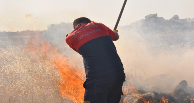 Mardin’de ağaçlık alanda yangın