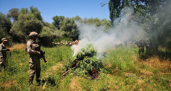 Diyarbakır'da dev uyuşturucu operasyonu: Tam 858 ton esrara denk geliyor