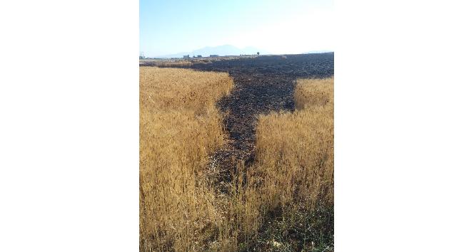 Karaman’da çıkan yangında 19 dekarlık buğday tarlası kül oldu