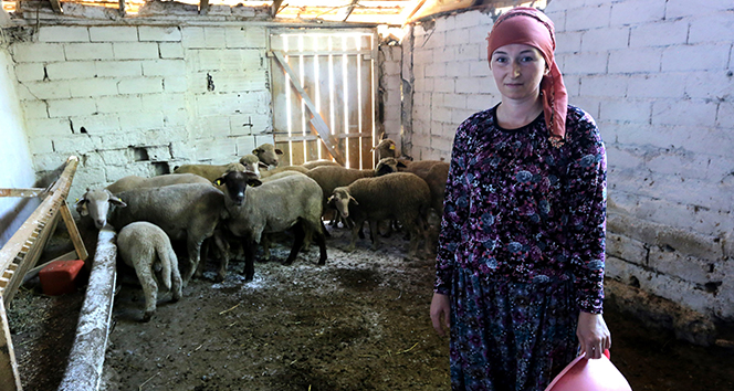 İki üniversite bitirip 4 dil konuşan Rus kadın Bursa&#039;da hayvancılık yapıyor
