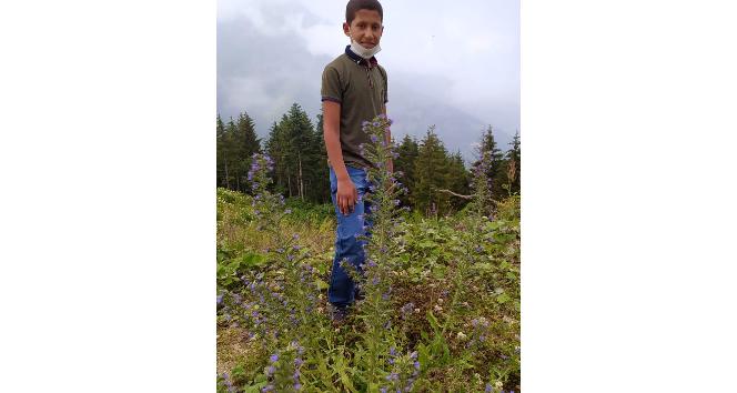 Rize’de piknik esnasında kaybolan 11 yaşındaki, çocuk için arama çalışmaları başlatıldı