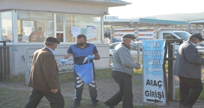 Covid-19 nedeniyle kapatılan Ardahan canlı hayvan pazarı yeniden açıldı