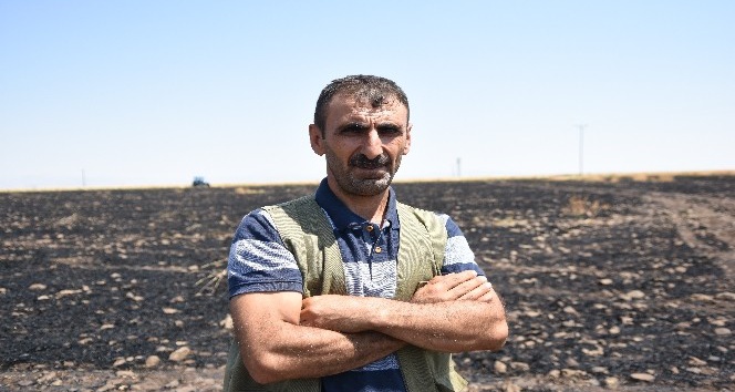 Siverek’te 50 dönümlük buğday ekili tarla yandı