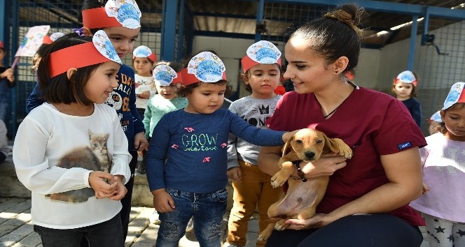 İzmir’de sokak hayvanları için Avrupa standartlarında merkez