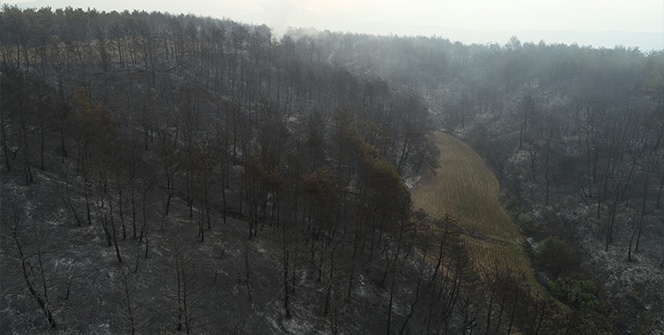 Yangının boyutu gün ağırınca ortaya çıktı