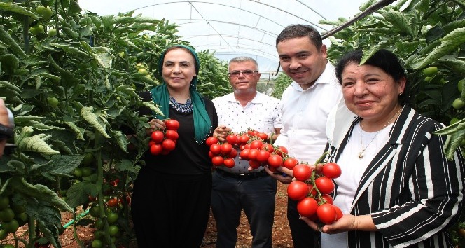 Vekil sıkı pazarlık yaptı, domates 2 lira 80 kuruşu gördü