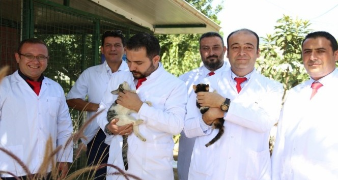 Aydın Veteriner Hekimleri Odası Başkanı Şahin, “Hayvan sevgisi şifadır”