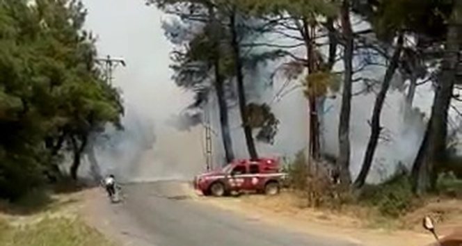 Çanakkale ile Edirne il sınırı arasında yangın