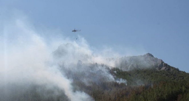 Yıldırım düştü, 3 hektarlık orman yandı