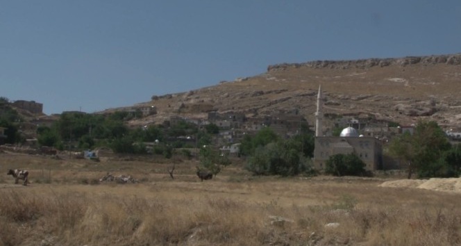 Terör örgütü PKK’nın Cevizli saldırısı unutulmuyor
