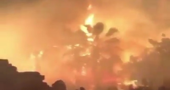 İzmir’de ot yangını paniğe sebep oldu