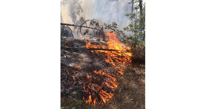 Kızılcahamam’daki Soğuksu Milli Parkı’nda ikinci yangın