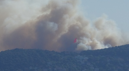 İstanbul Heybeliadada orman yangını