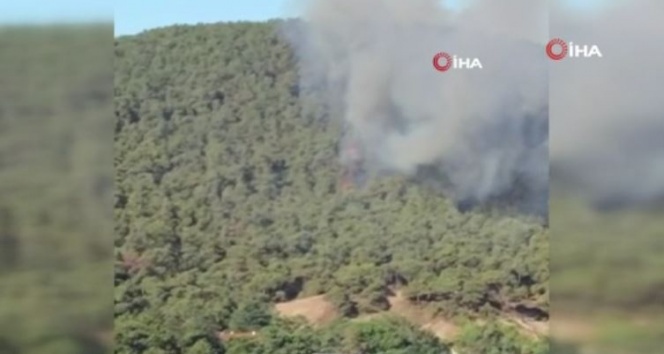 Heybeliada’daki yangına çok sayıda araç ve helikopterle müdahale edildi