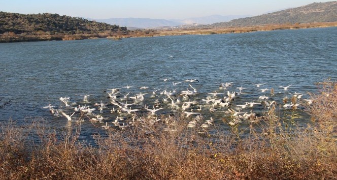 Azap Gölü’nde ekoturizm faaliyetleri yaygınlaşacak