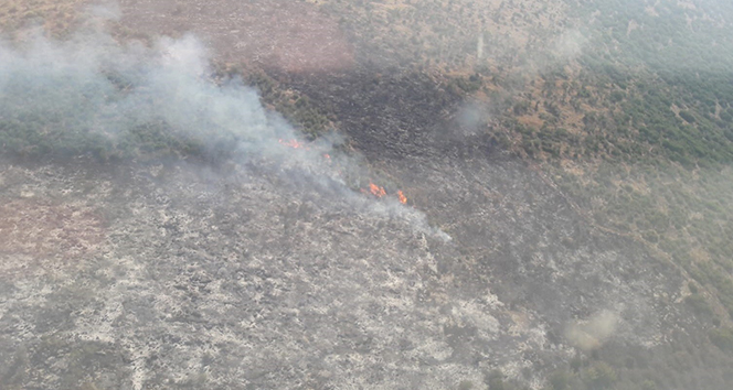 İzmir&#039;de makilik alanda çıkan yangın kontrol altında