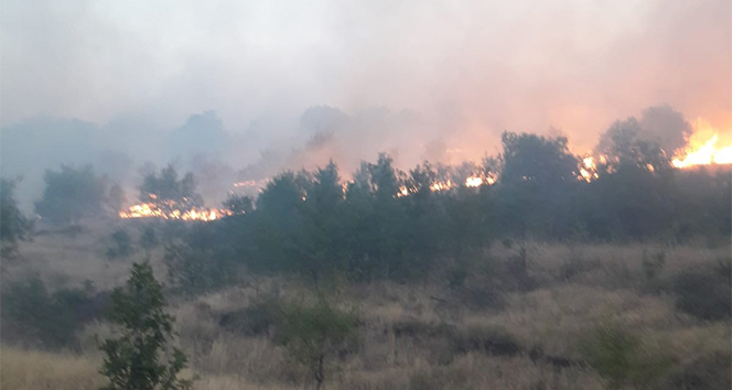 Elazığ’da 2 gün süren orman yangını söndürüldü